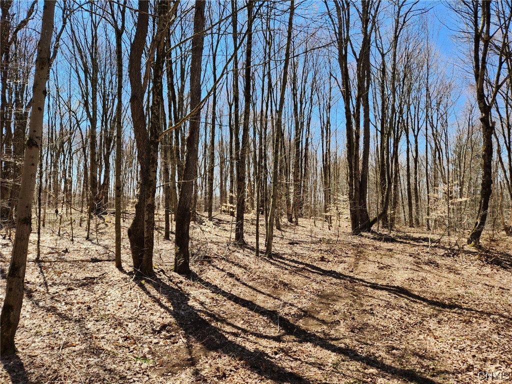 11022 Empeyville Road Florence, NY 13316 - Photo 8 of 30