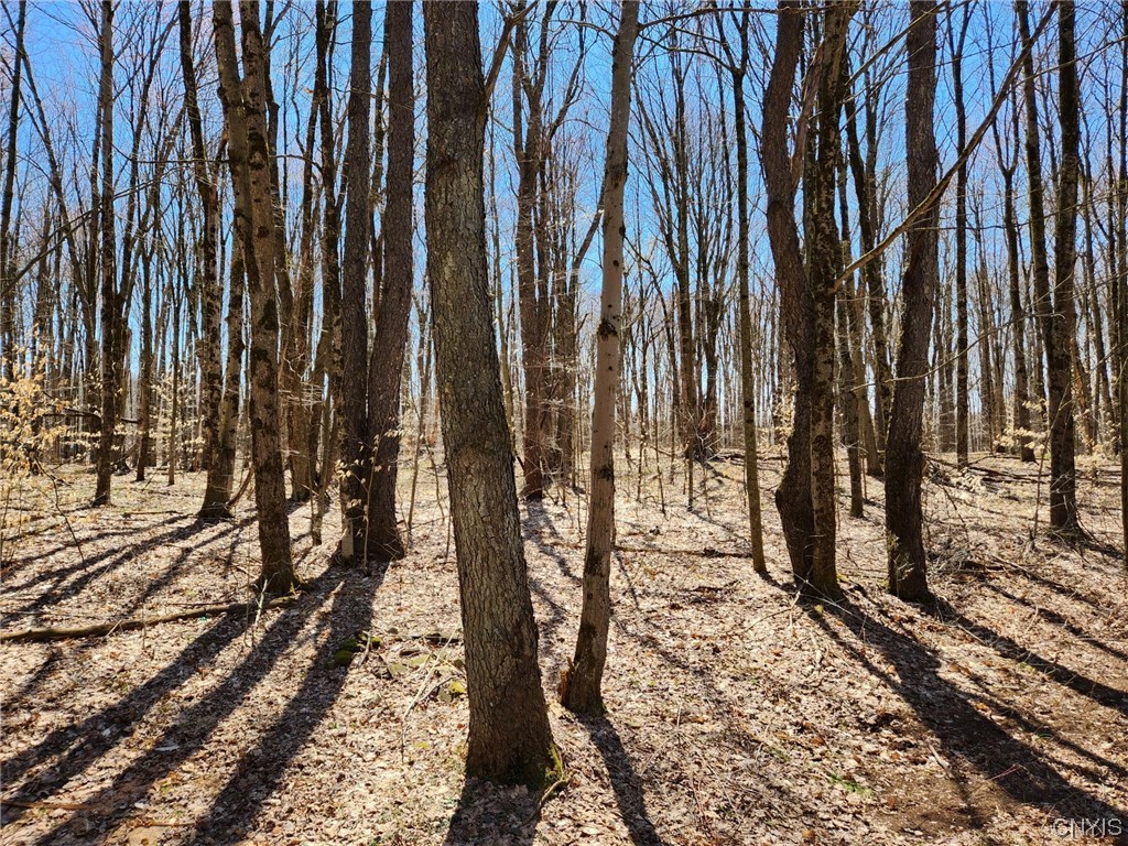 11022 Empeyville Road Florence, NY 13316 - Photo 9 of 30