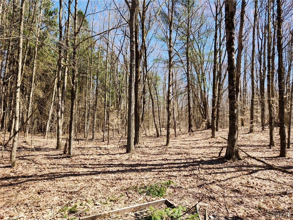 11022 Empeyville Road Florence, NY 13316 - Photo 10 of 30