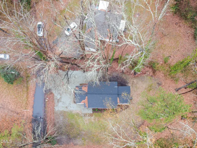 a view of a yard with plants and a bench