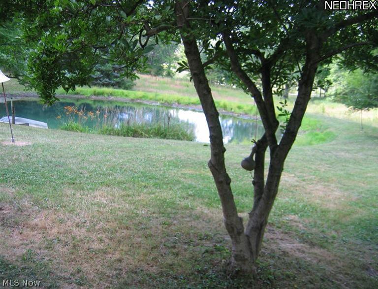 6333 River Styx Road Medina, OH 44256 - Photo 9 of 16 Gallery Image 9