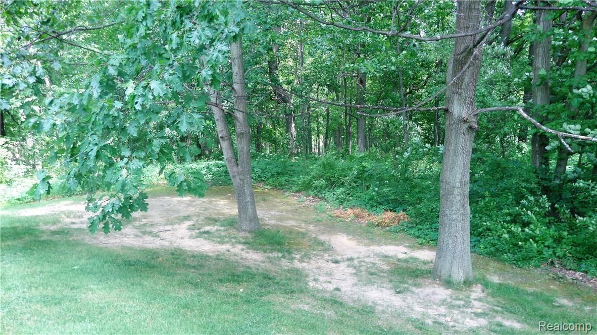 7983 Mester Road Chelsea, MI 48118 - Photo 38 of 38 DSC04795 (2).JPG