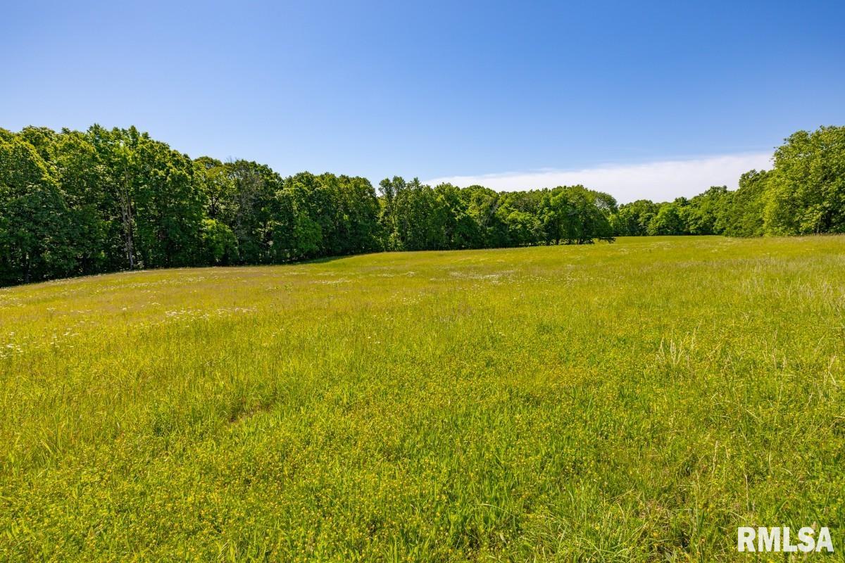 7550 Highway 45 Vienna, IL 62995 - Photo 45 of 56
