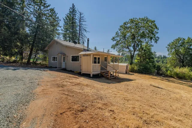 a view of a house with a yard and covered with tall trees