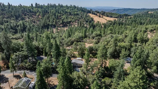 a view of a forest with a houses