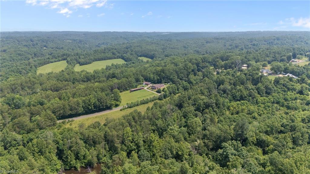 1224 Tom Shelton Road Sandy Ridge, NC 27046 - Photo 18 of 33