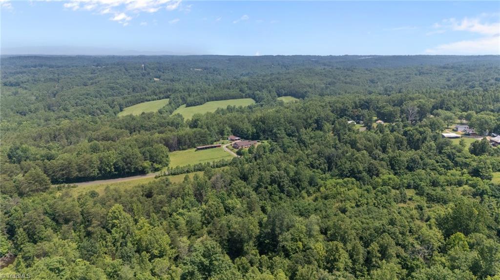 1224 Tom Shelton Road Sandy Ridge, NC 27046 - Photo 19 of 33