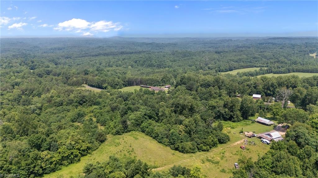 1224 Tom Shelton Road Sandy Ridge, NC 27046 - Photo 21 of 33