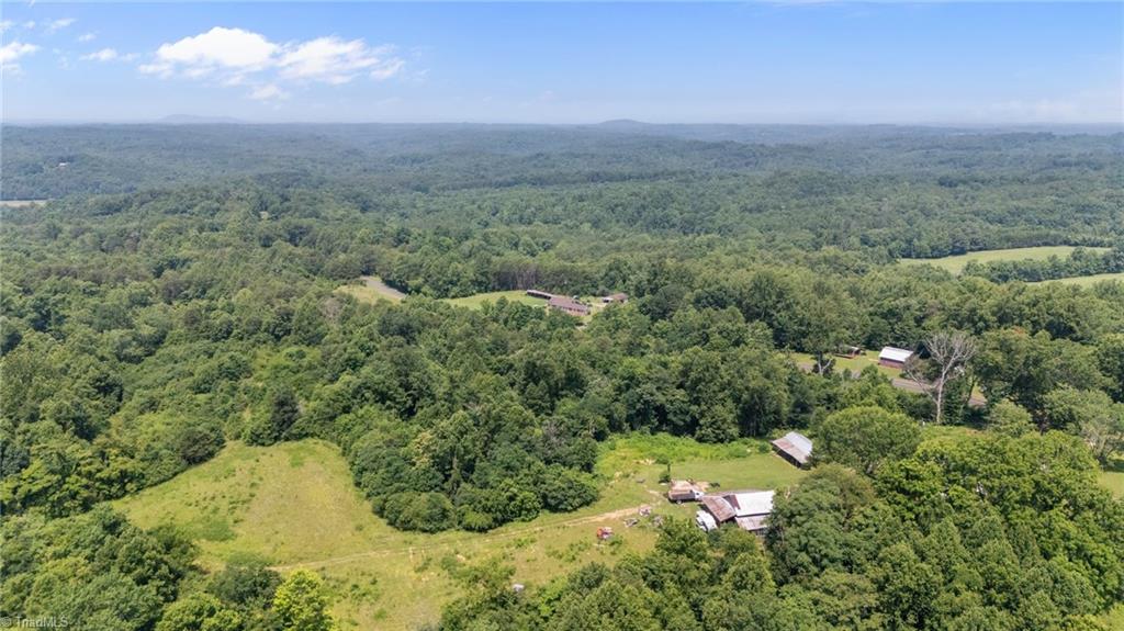 1224 Tom Shelton Road Sandy Ridge, NC 27046 - Photo 22 of 33