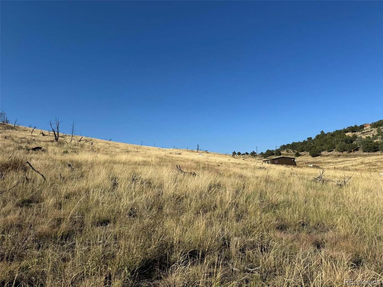 48 Copper Gulch Road Cotopaxi, CO 81223 - Photo 35 of 43