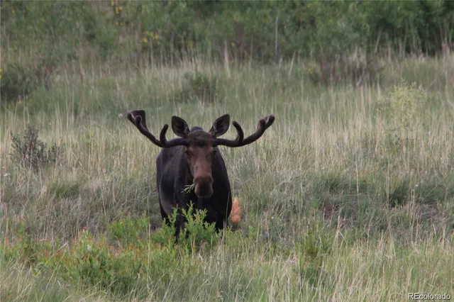 $2,435,000 | 2 Dill Pickle Place, Black Hawk, CO 80422