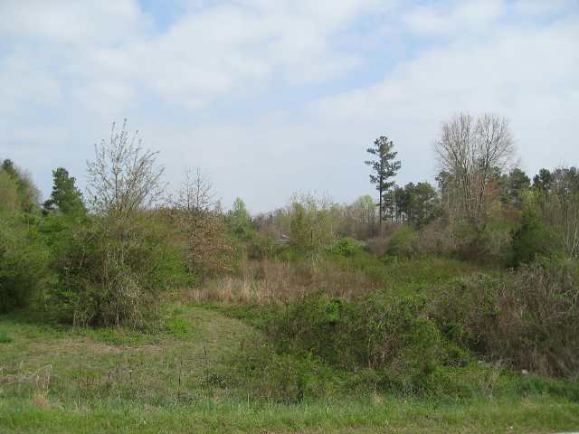Lot 6 Allen Bridge Road Fountain Inn, SC 29644 - Photo 4 of 6