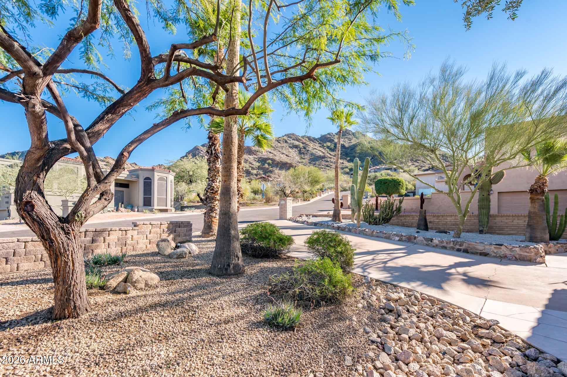 9640 North 18th Street Phoenix, AZ 85020 - Photo 6 of 51 Mature Landscaping