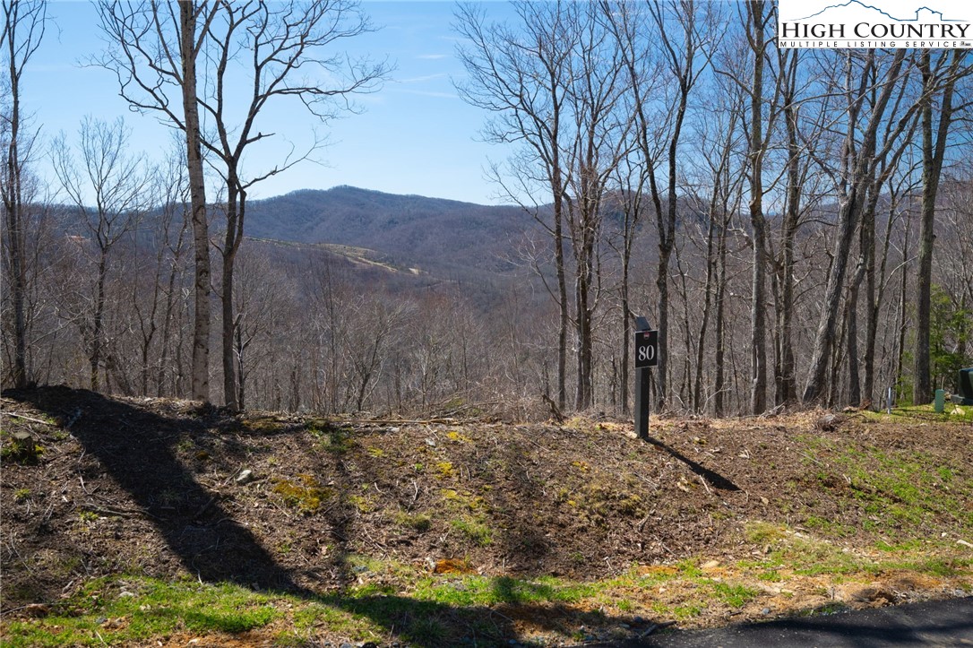 Lot 80 Bear Paw Road Elk Park, NC 28622 - Photo 11 of 19