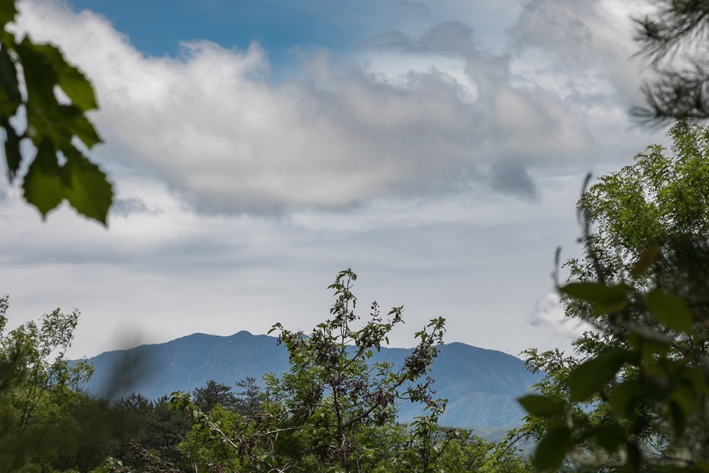 134 Summit Trails Drive Sevierville, TN 37862 - Photo 5 of 19