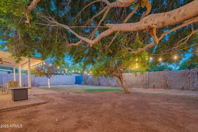 a view of a house with a tree