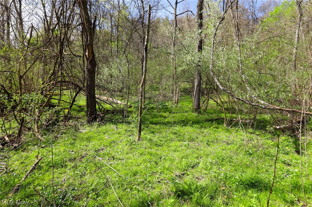 Jacks Run Road Quaker City, OH 43773 - Photo 25 of 50 Gallery Image 25