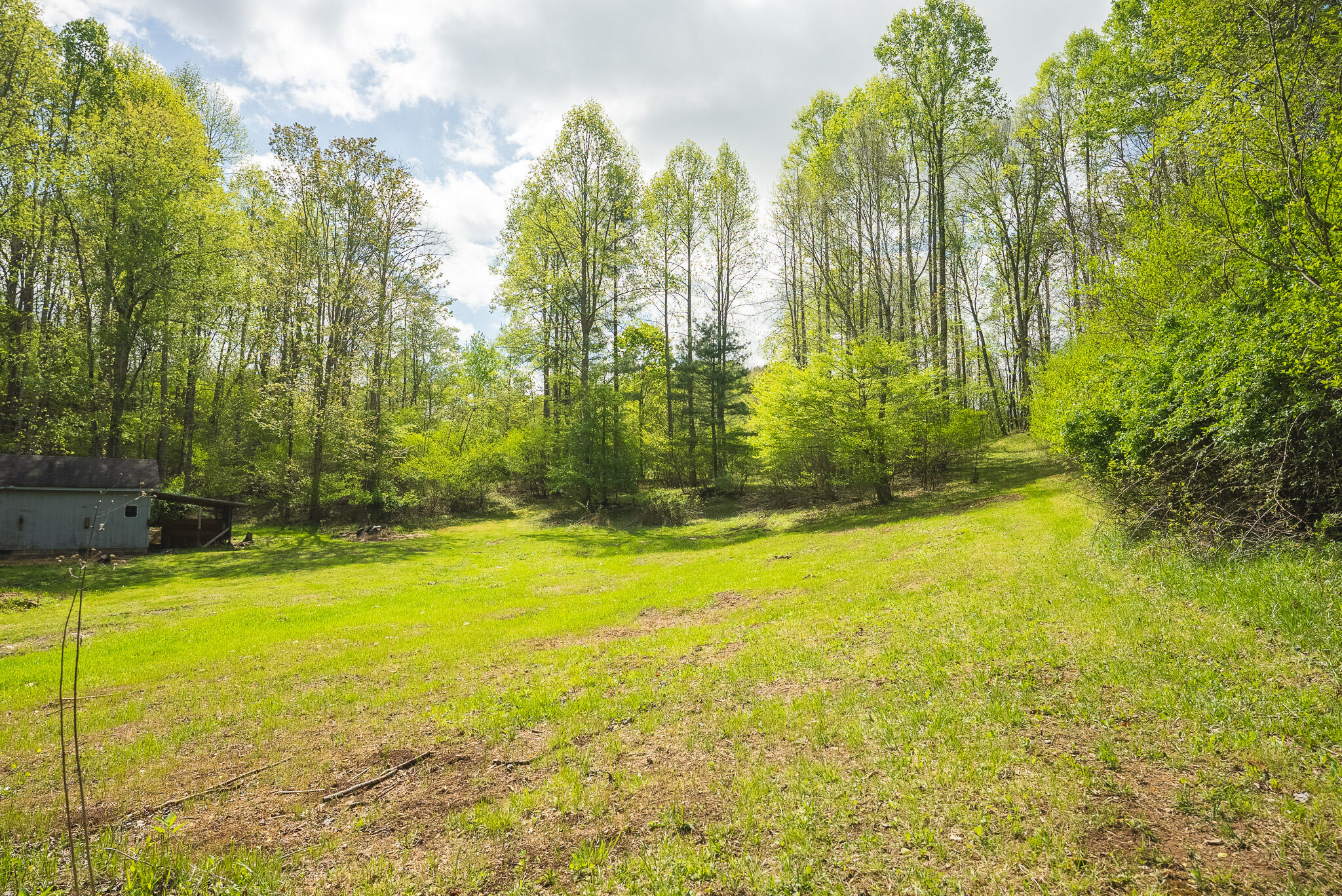 146 Duvall Road Willis, VA 24380 - Photo 11 of 62 DSC00802