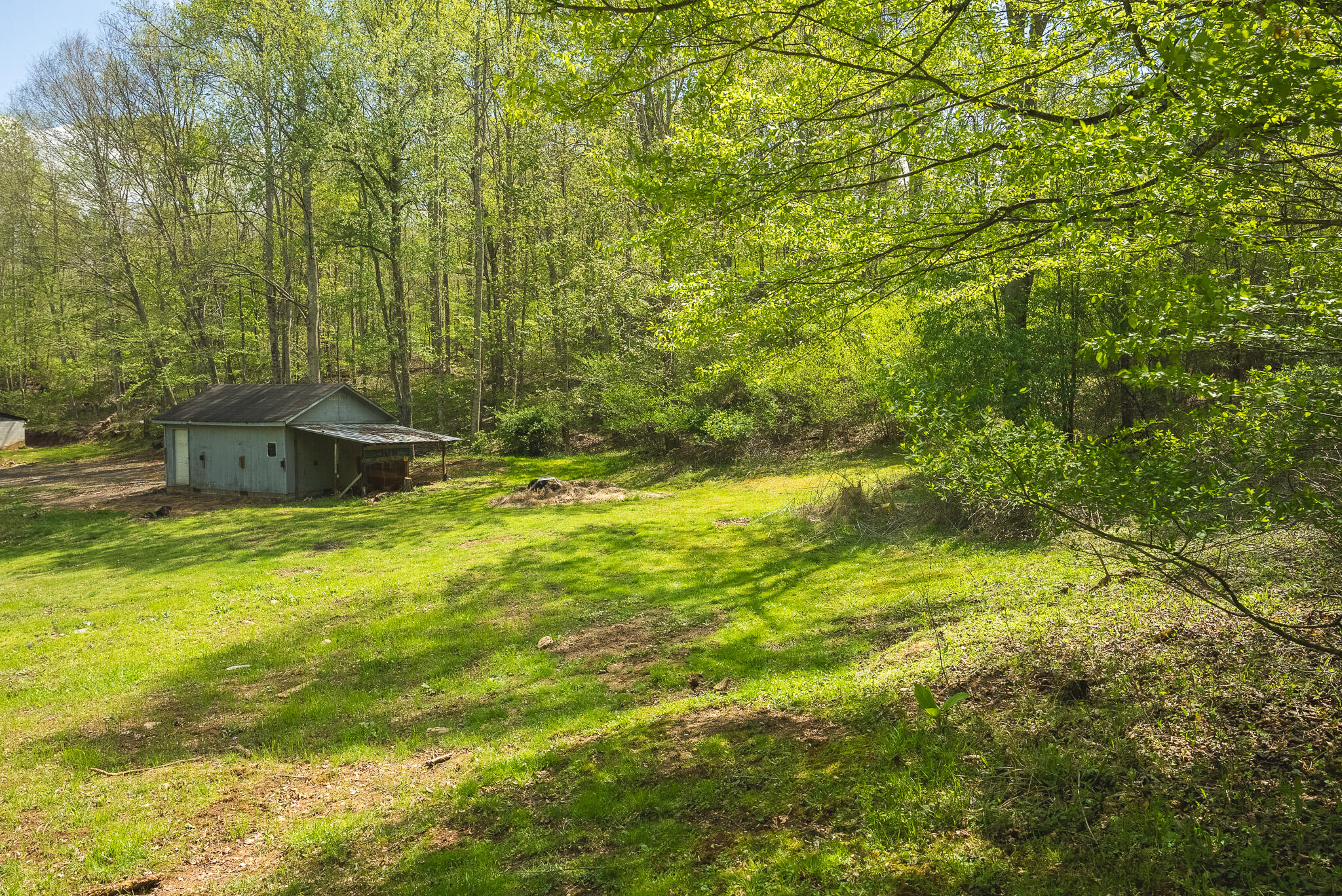 146 Duvall Road Willis, VA 24380 - Photo 16 of 62 DSC00807