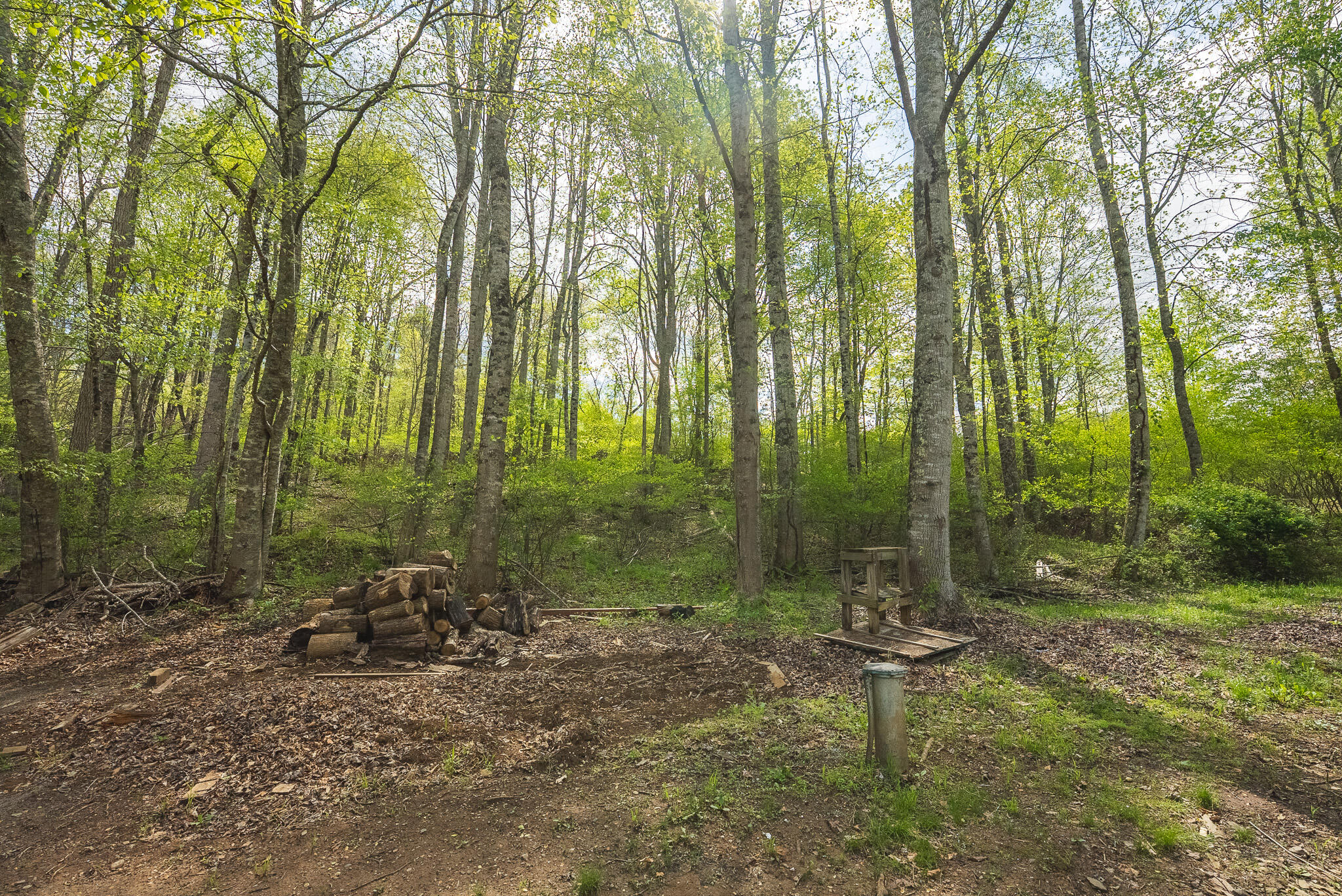 146 Duvall Road Willis, VA 24380 - Photo 23 of 62 DSC00814