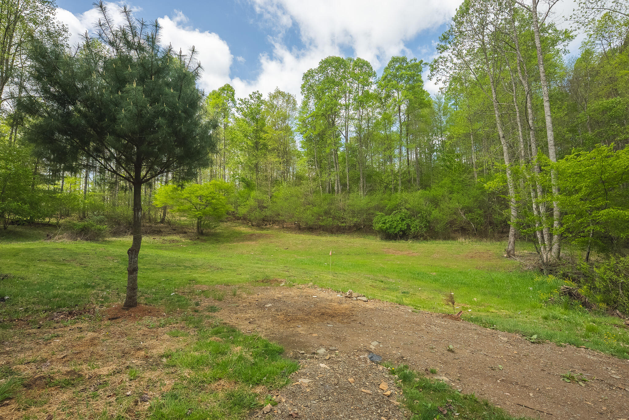 146 Duvall Road Willis, VA 24380 - Photo 3 of 62 DSC00791
