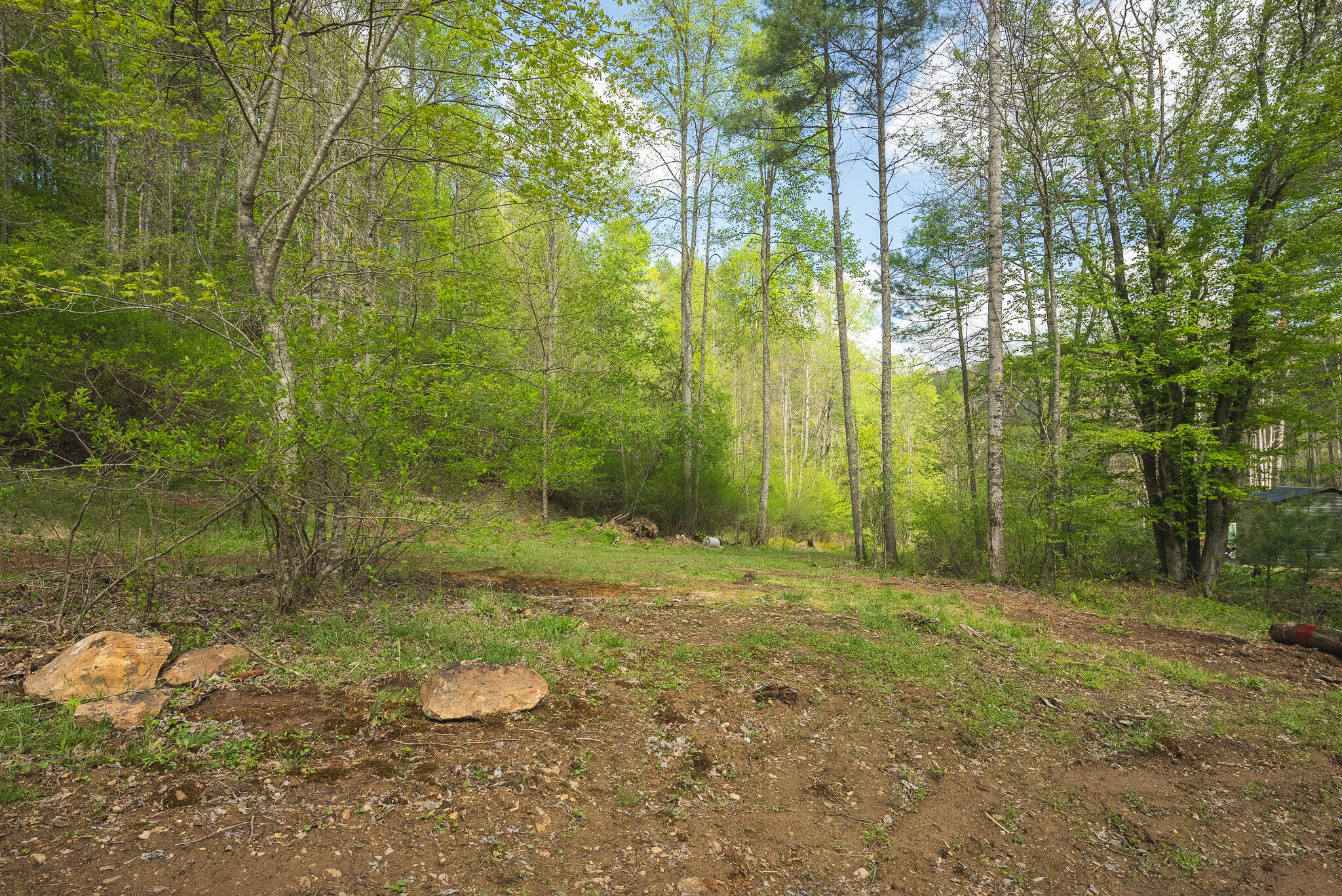 146 Duvall Road Willis, VA 24380 - Photo 7 of 62 DSC00796