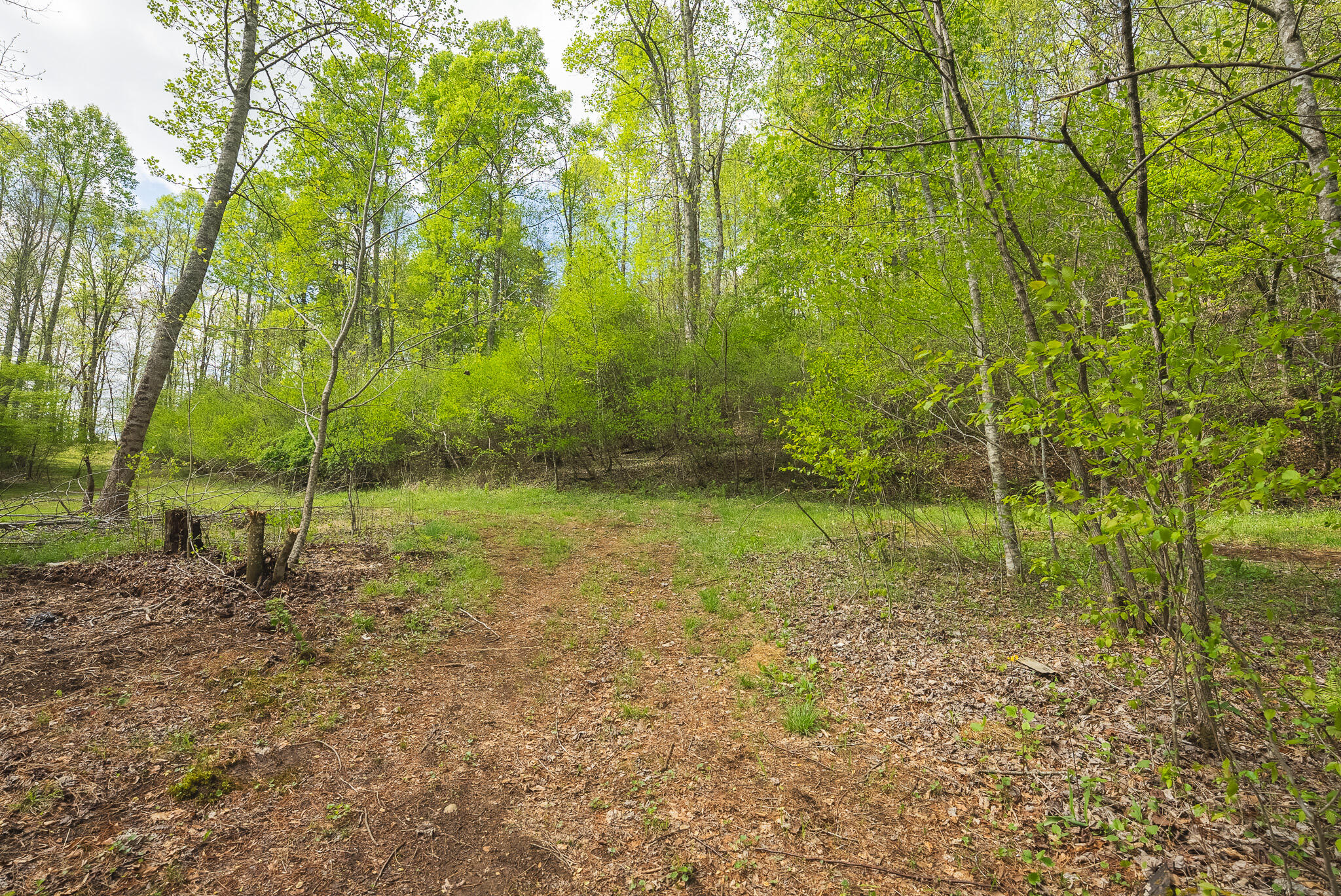 146 Duvall Road Willis, VA 24380 - Photo 8 of 62 DSC00797