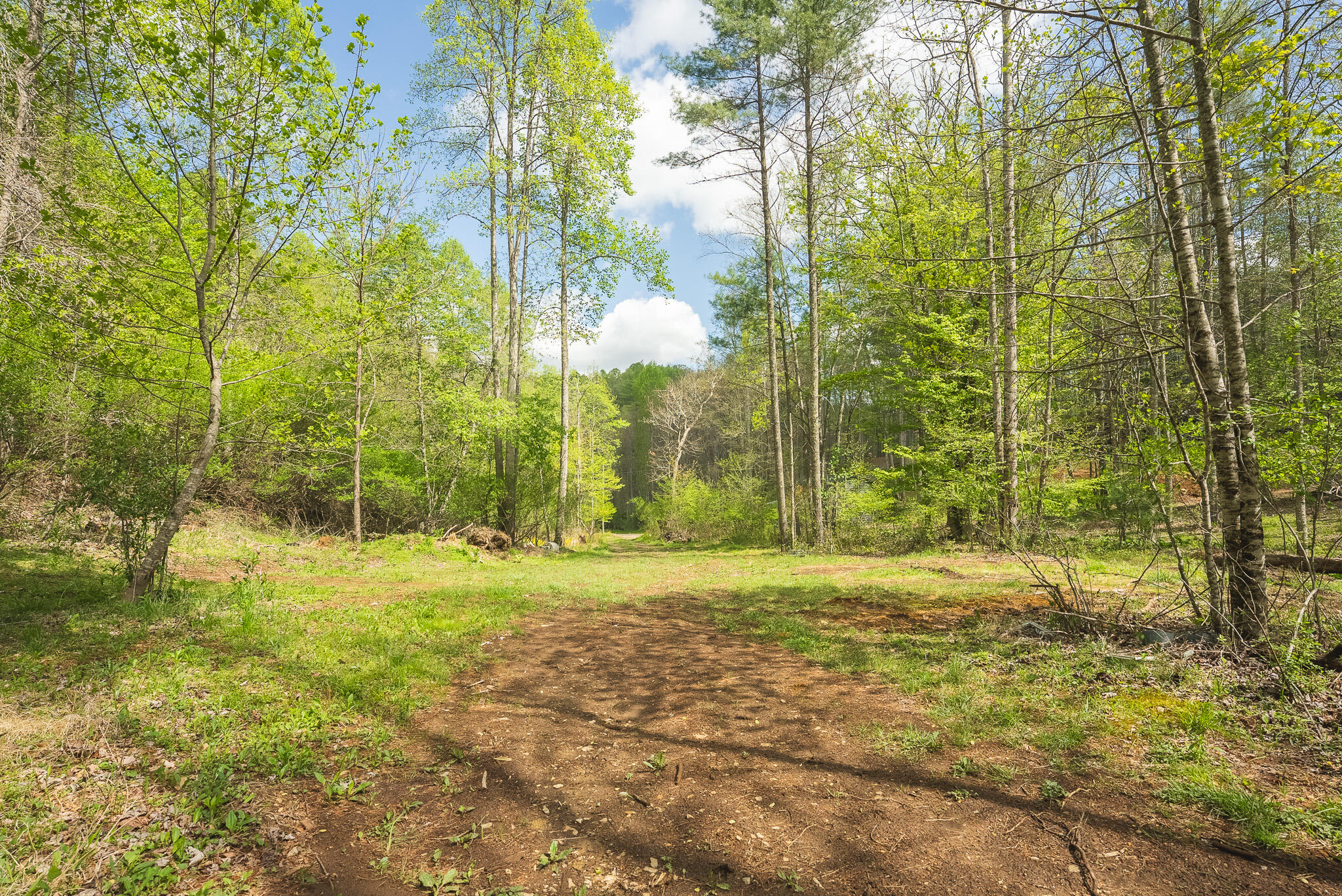 146 Duvall Road Willis, VA 24380 - Photo 9 of 62 DSC00799