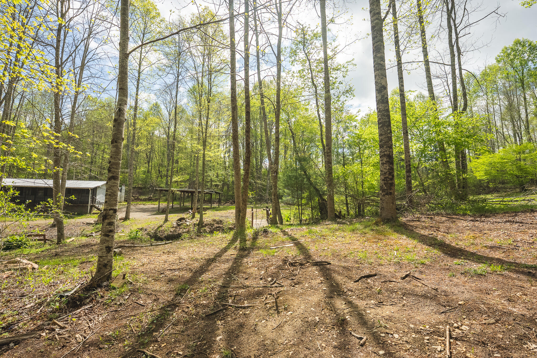 146 Duvall Road Willis, VA 24380 - Photo 10 of 62 DSC00800
