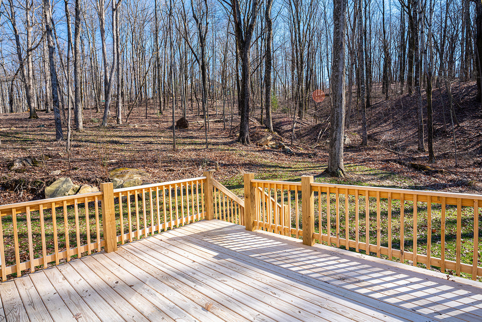 905 Dunsinane Road Signal Mountain, TN 37377 - Photo 14 of 38 DSC00035