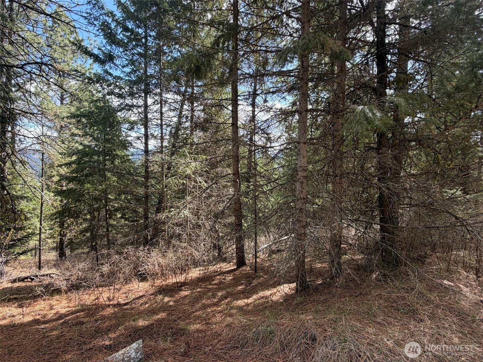 111-tbd W West Curlew Lake Road Republic, WA 99166 - Photo 14 of 16
