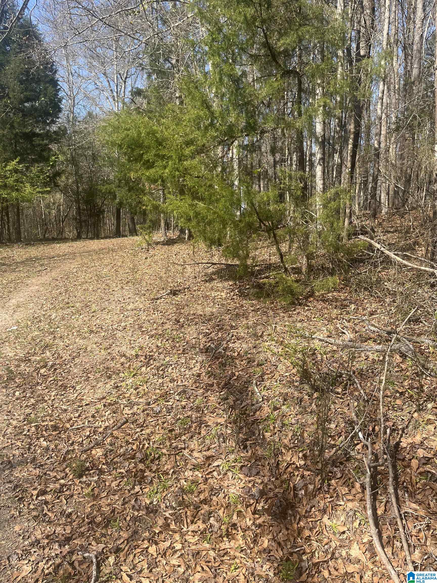 0 Crystal Lake Road West Blocton, AL 35184 - Photo 3 of 16