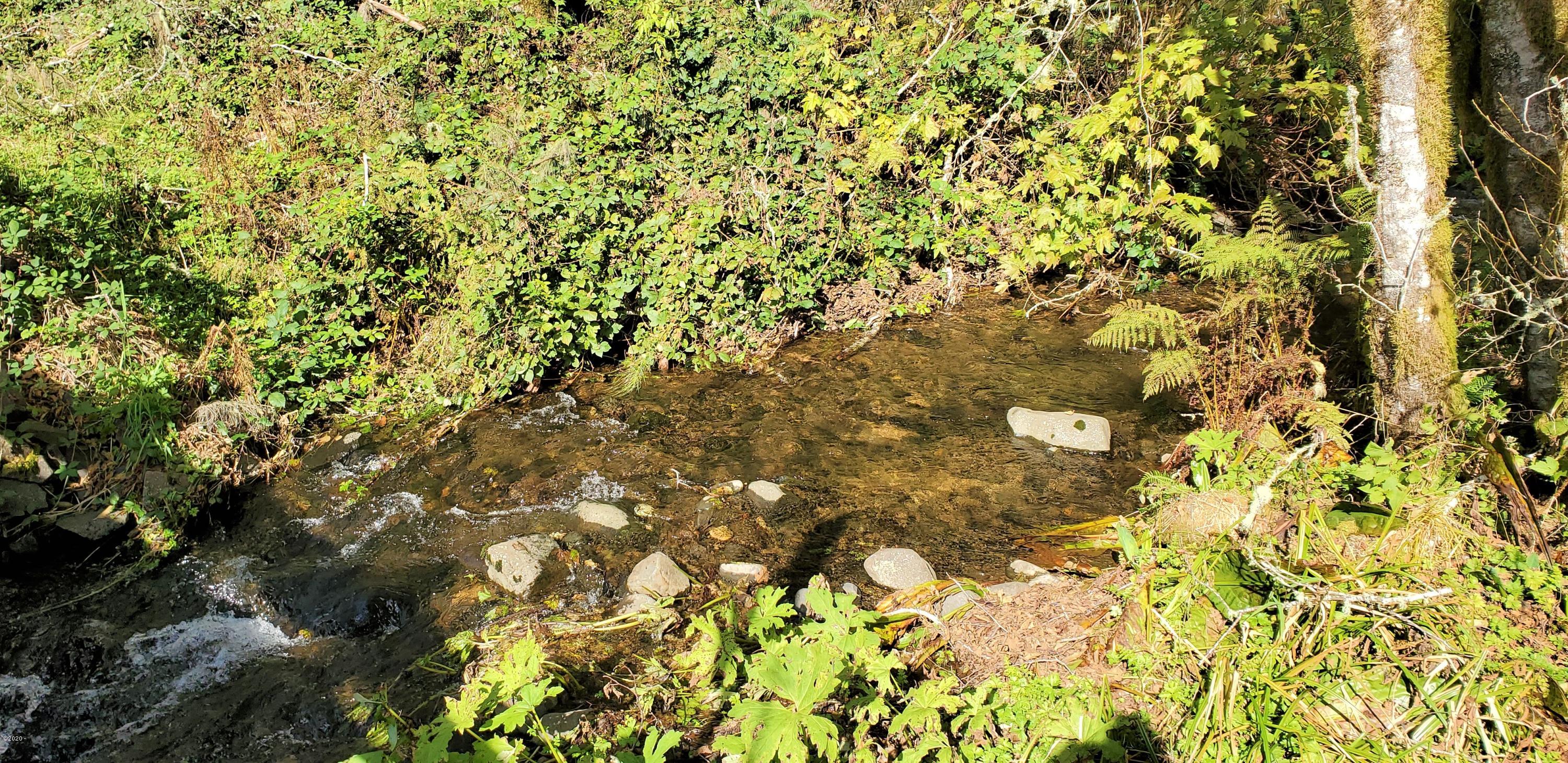 1201 Slab Creek Road Neskowin, OR 97149 - Photo 6 of 13 Jims Creek
