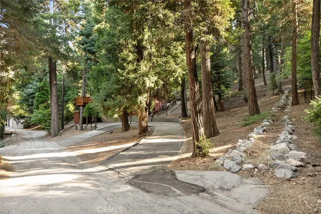 a view of a tree with a trees