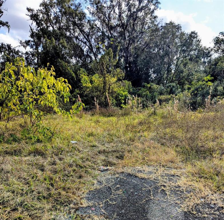 a view of a yard with a tree