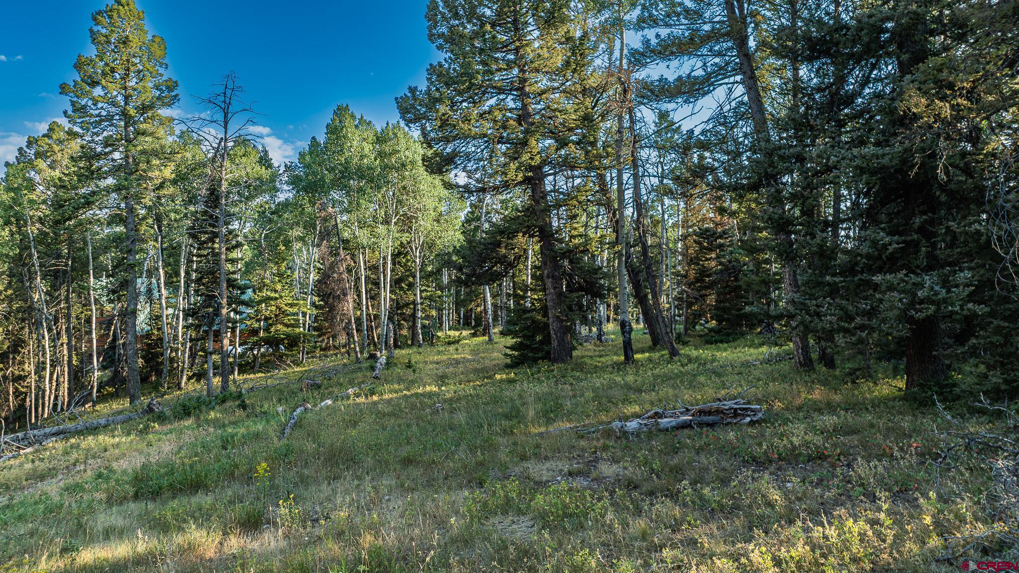 a big yard with lots of green space and deers