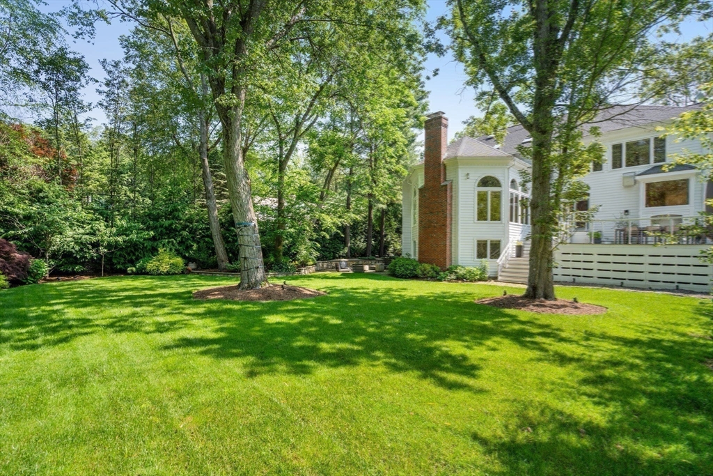 69 Princeton Road Brookline, MA 02467 - Photo 2 of 28 a backyard of a house with plants and large tree