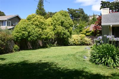 9 Riviera Place San Rafael, CA 94901 - Photo 3 of 10 Gallery Image 3