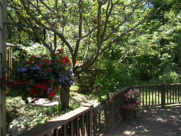 8 Court Road Westford, MA 01886 - Photo 25 of 30 Gallery Image 25