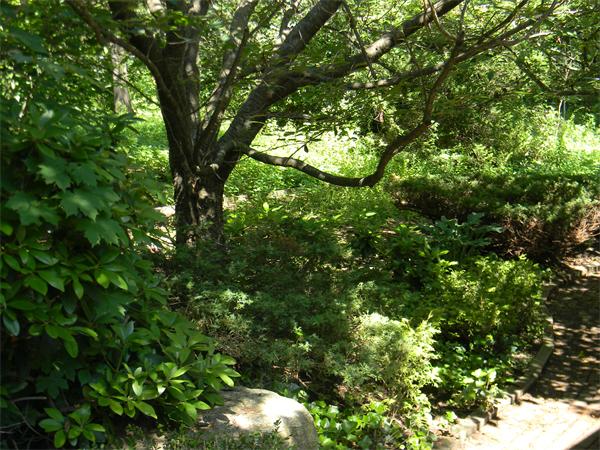8 Court Road Westford, MA 01886 - Photo 27 of 30 Gallery Image 27