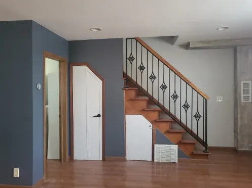 $545,000 | 3841 South Lowe Avenue, Chicago, IL 60609