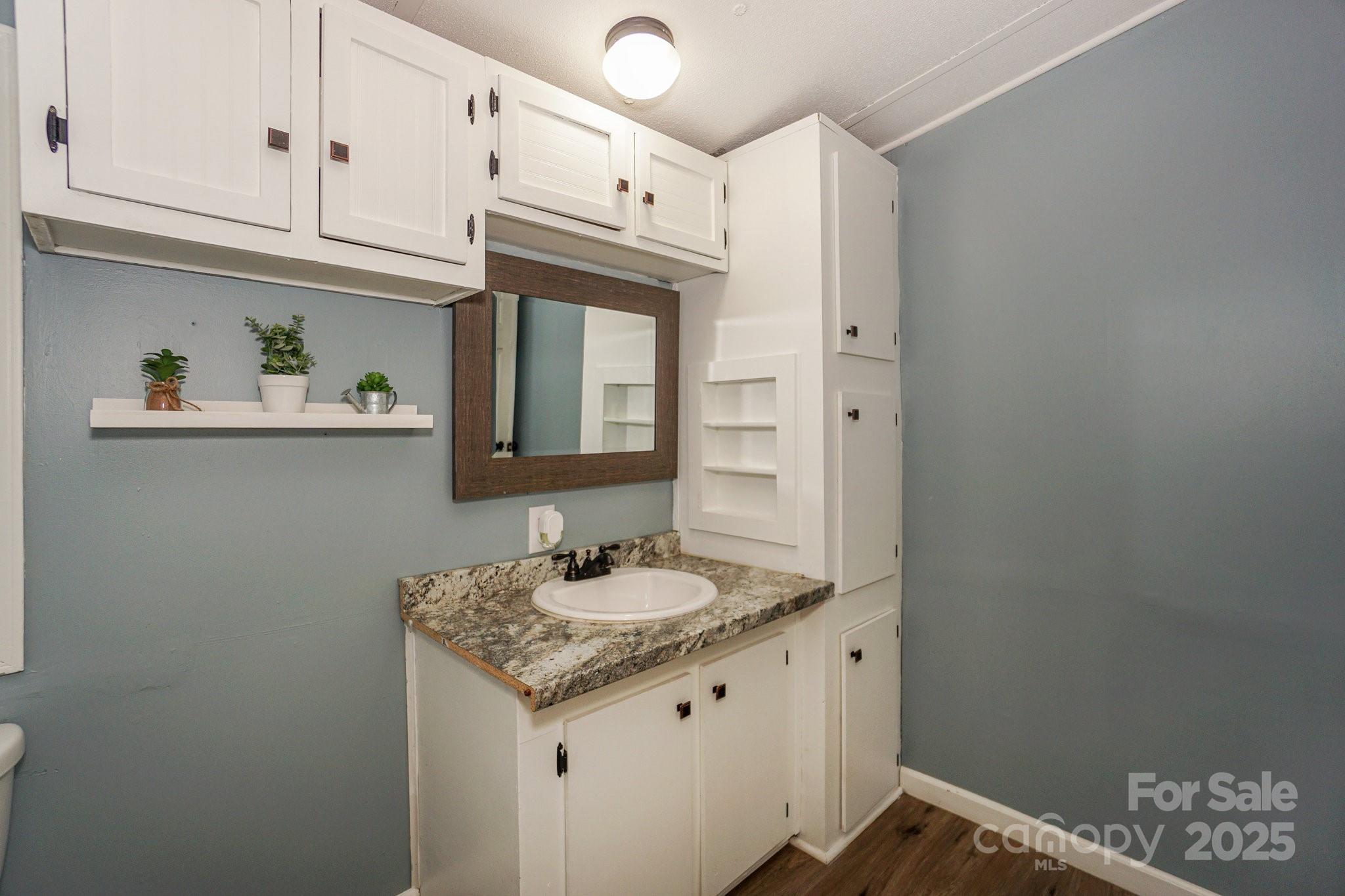 1279 Craig Drive Iron Station, NC 28080 - Photo 32 of 47 a bathroom with a sink and a mirror