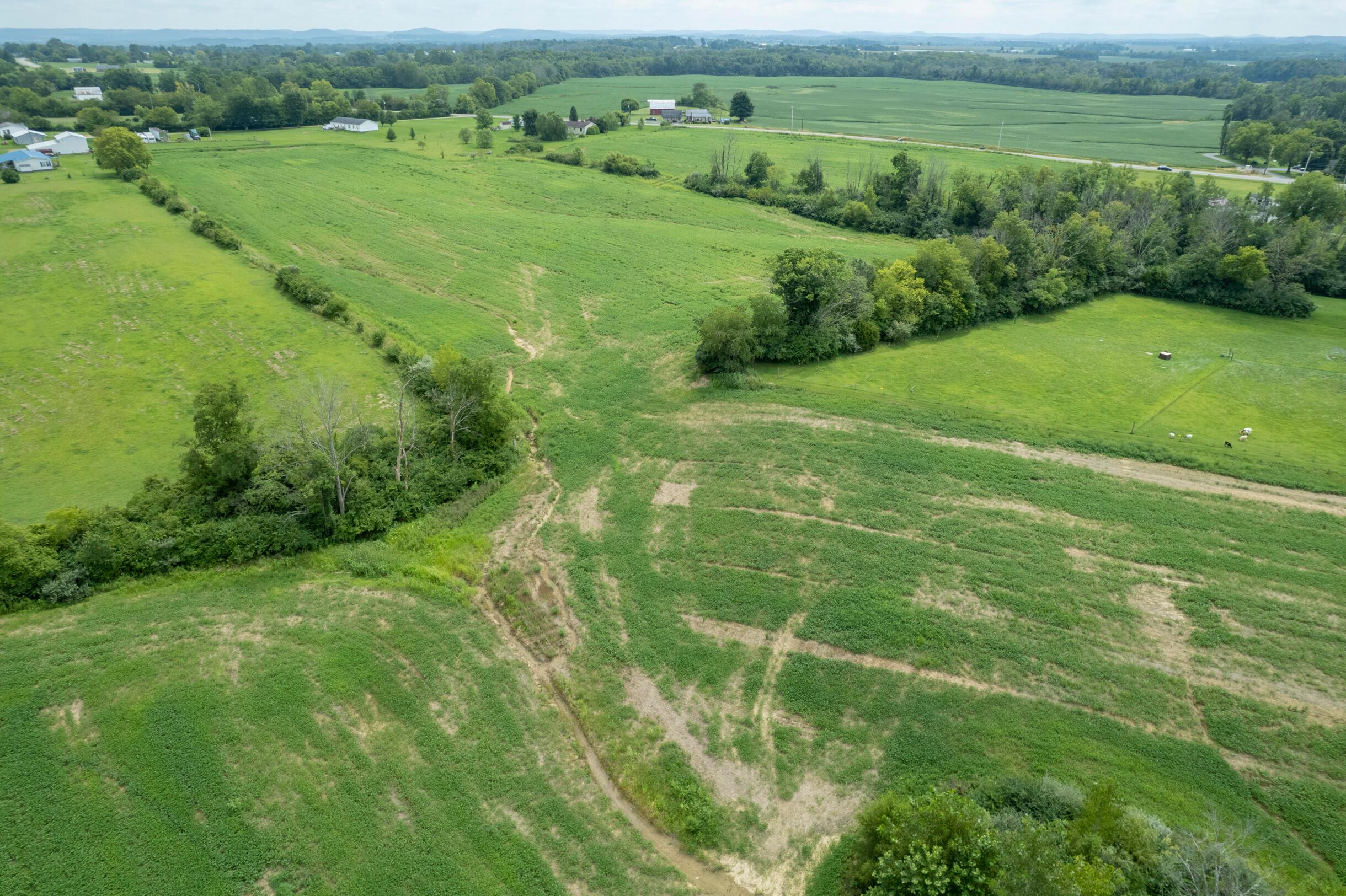 12560 Miami Trace Road Greenfield, OH 45123 - Photo 7 of 11 12560MiamiTraceRd-40Ac-7