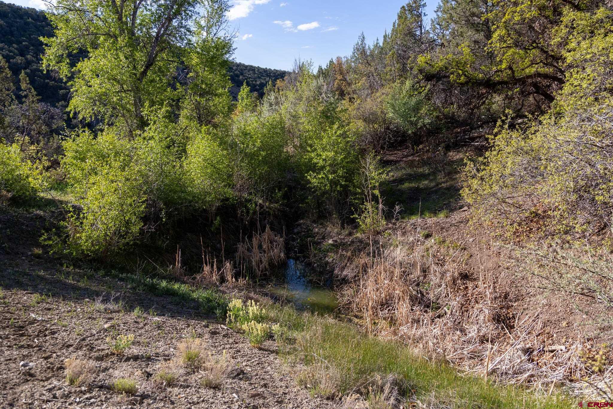 Tbd Mystic Mesa Road Hotchkiss, CO 81419 - Photo 12 of 31