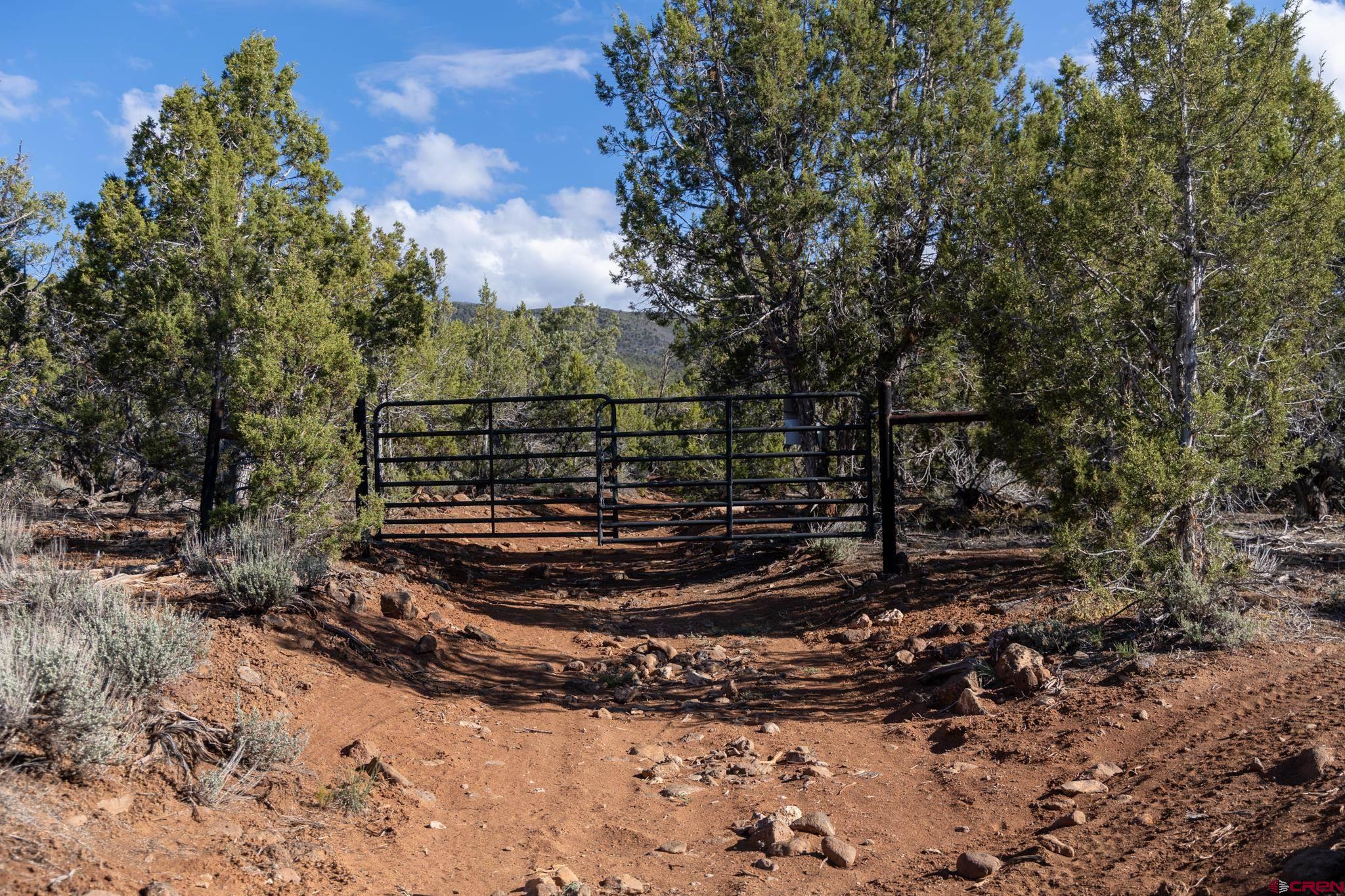 Tbd Mystic Mesa Road Hotchkiss, CO 81419 - Photo 15 of 31