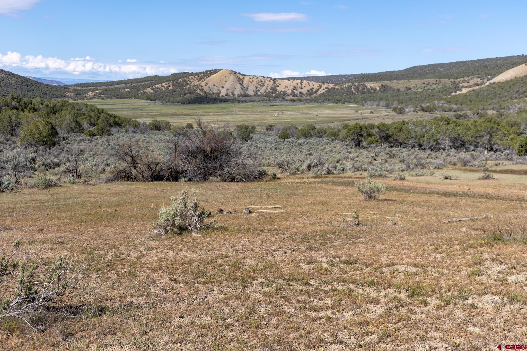 Tbd Mystic Mesa Road Hotchkiss, CO 81419 - Photo 21 of 31