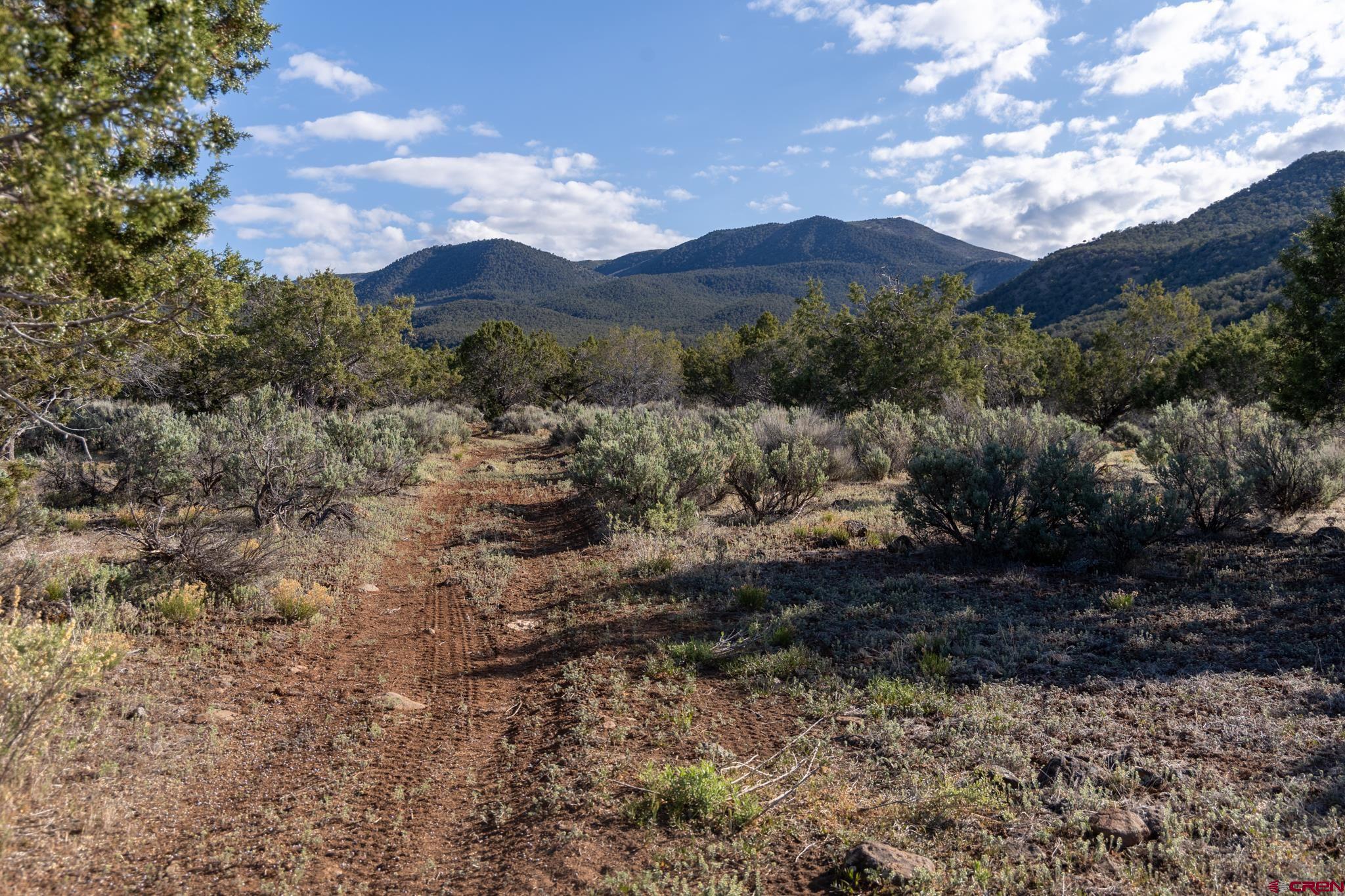 Tbd Mystic Mesa Road Hotchkiss, CO 81419 - Photo 9 of 31
