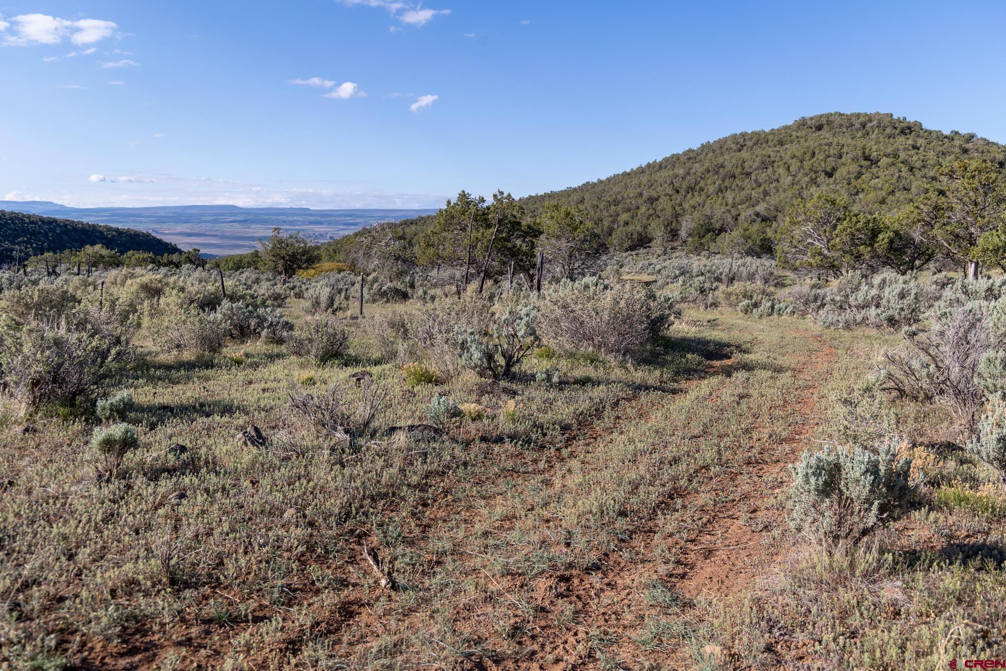 Tbd Mystic Mesa Road Hotchkiss, CO 81419 - Photo 10 of 31