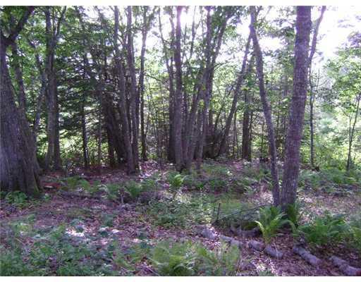 93 Huddle Road New Harbor, ME 04554 - Photo 4 of 5 Land.