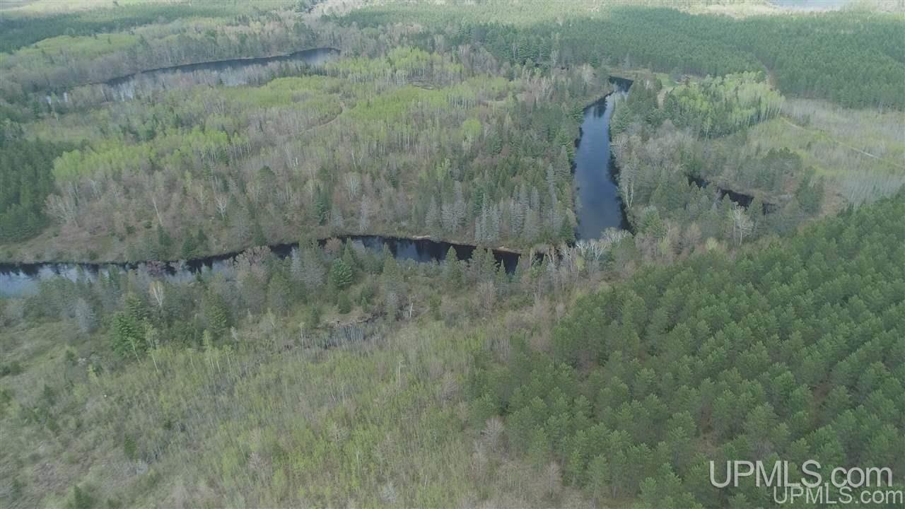 47-acres Chain Of Lakes Road Republic, MI 49879 - Photo 11 of 29